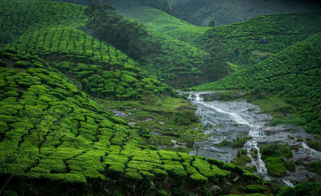 gigin-krishnan-qHj0sGMZJF0-unsplash